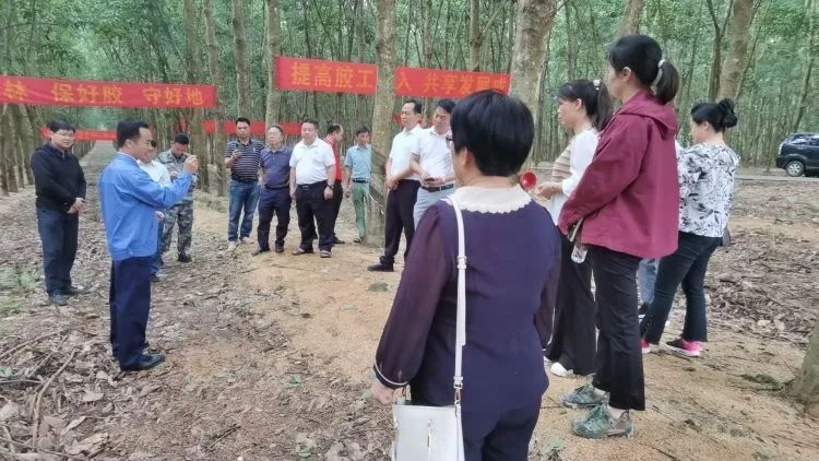 全國割膠冠軍張健給各單位學員做標準化膠園建設(shè)及割膠技術(shù)的經(jīng)驗介紹。.jpg
